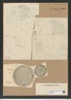 Aulacodiscus subrimosus Grun. (de-Toni-Nr.: Genus 182, Species 4597) Zeichnungen Sammlung Grunow Nr. 8194 (NHMW-BOT-W0377573)